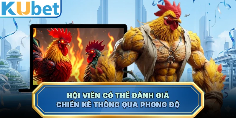 Hội viên có thể đánh giá chiến kê thông qua phong độ