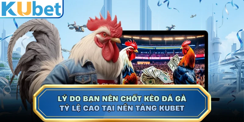 Lý do bạn nên chốt kèo đá gà tỷ lệ cao tại nền tảng KUBET