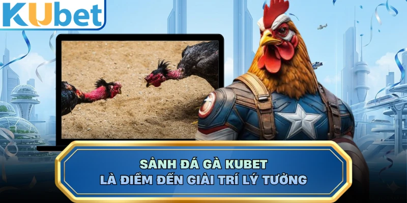 Sảnh đá gà KUBET là điểm đến giải trí lý tưởng